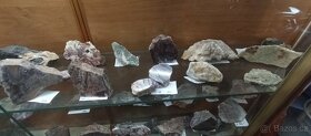 Sbírka minerálů s vitrínou nerosty - 15