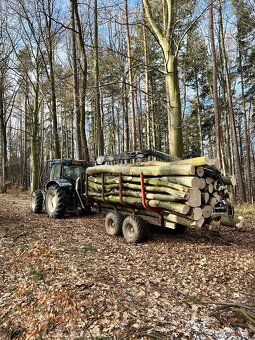 New Holland + Palms - 15