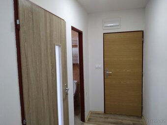 Pronájem bytu 1+kk 25 m2 Dobrotice - 15