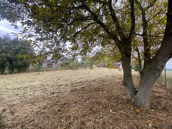 Prodej pozemku s chatou – Číhošť (okres Havlíčkův Brod) - 15