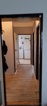 Byt 3+1 cihla Plzeň Bory Máchova ulice - 15