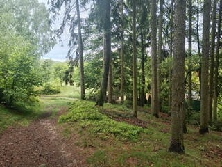 Prodej slunného, pozemku 1 103 m² v Hodkovicích nad Mohelkou - 15