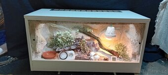 Nové terárium - 15