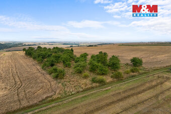 Prodej ovocného sadu, 5202 m², Kralupy nad Vltavou - 15