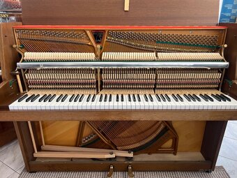 Prodám piano Zimmermann-C.Bechstein se zárukou, doprava zdar - 15