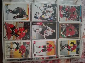 Hokejové kartičky - 15