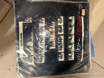 Vinylové gramodesky - 15