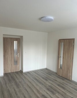 TOP Prodam 3+KK Plzen 64m Na Pruhonu - 15