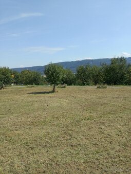 PRODEJ KOMERČNÍHO ZEMĚDĚLSKÉHO OBJEKTU SE ZAHRADOU - 15