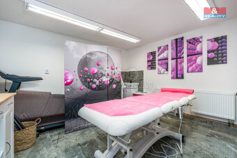 Prodej rodinného domu, 220 m², Mnichovo Hradiště, ul. Lesní - 15