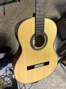 Ukulele konceetni, cestovni / spanelska kytara a dreadnougt - 15