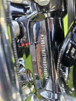HARLEY DAVIDSON LOW RIDER FXLR 107cu M8 top 2019RV - 15