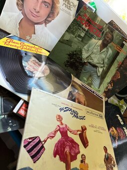 LP Jim Reeves -Golden Memories - 15