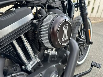 Kompletní TOP stavba Harley-Davidson Sportster Iron 883 XL - 15