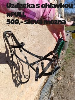 Výprodej sedlovny - 15