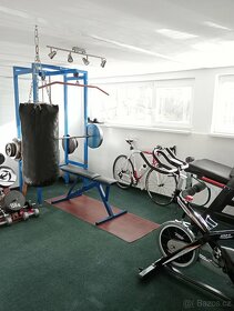 Prodám dvougeneračního dům v Benešově u Prahy - 15