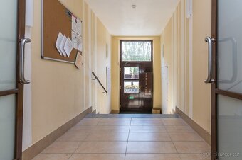 Pronájem plně zařízeného bytu u metra Bořislavka - 15