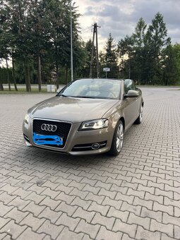 Audi A3 Cabrio 1.9 TDI 77 Kw chip 91Kw - 15