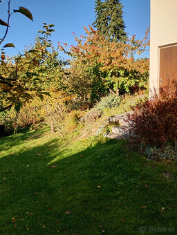 Prodej chaty s pozemkem v Droždíně - Olomouc - 15