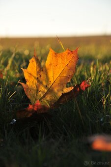 Nikon D5000+objektiv 18-105 mm+příslušenství - 15