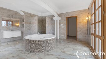 Velkorysý dům 9+kk s užitnou plochou 697 m2  Bezděkov u Žatc - 15