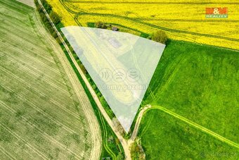 Prodej pole, 6672 m², Pláň, Ostrov u Bezdružic - 15