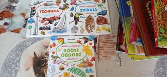 Prodám hromadu dětských knížek - 15