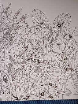 Omalovánky pro dospělé Exotický prales - 15