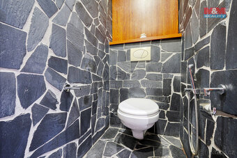 Prodej bytu 2+kk, 95 m², Plzeň, ul. Studentská - 15