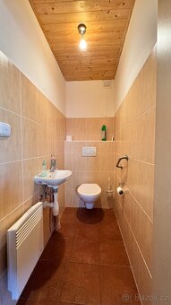 Prodej domu Lopeník - 15000m2 - 15