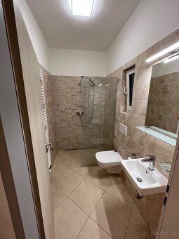 NABÍZÍM KOMPLETNĚ ZAŘÍZENÝ PRONÁJEM PARKOVÁNÍ WIFI ZAHRADA - 15