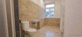 Pronájem bytů 2kk a 3kk, s balkónem či terasou, Peruc - 15