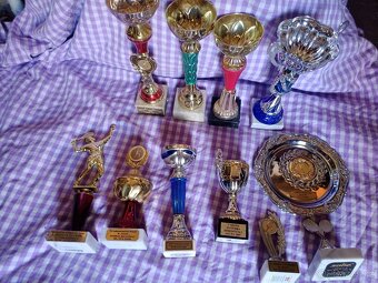 Prodám poháry, trofeje kus 50 Kč - 15