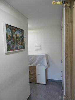 Pronájem cihlového bytu 2+kk, ul. Wolkerova, Olomouc. - 15