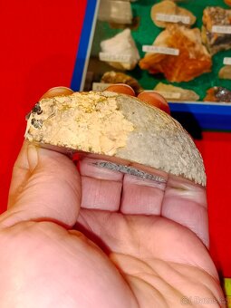 Minerály - MINERAUX a lampa funkční - 15