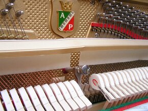 Prodám pianino zn. Petrof mod.125 - 15