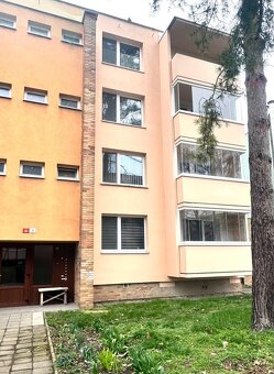 Mikulov, byt 3+1, 76 m2 - 15