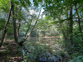 Malebný pozemek 2217 m2 u Prahy - Kamenný Přívoz - 15