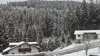 Penzion s restaurací – Bayerisch Eisenstein (4 km od Železné - 15