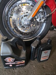 HARLEY DAVIDSON FAT BOY CVO SCREAMIN EAGLE - 15
