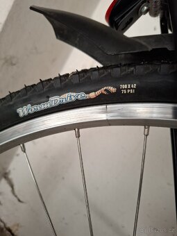 Kolo Giant Cypress DX 28" - 15