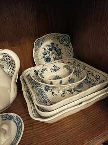 Prodej cibulaku - 15