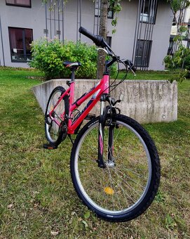 Krásné dámské horské kolo CTM Stefi 2.0 - 15