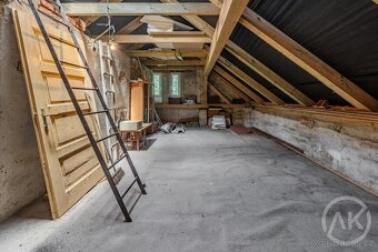 Prodej staršího domu s velkým pozemkem, Sedlnice - 15