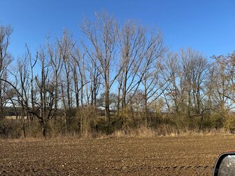 Prodám lesní pozemky v k.ú. Radouň - 15