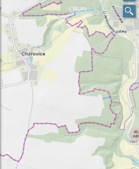 Lesní pozemek Chářovice - 15