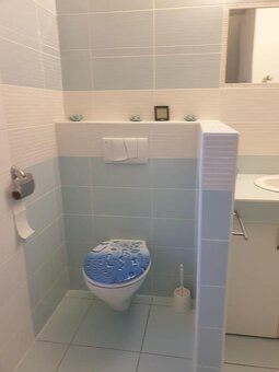 Pronájem rodinného domu 120 m², pozemek 970 m² Plešnice - 15