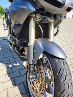 Triumph Tiger 1050 SE - 15