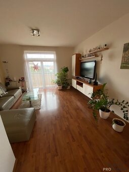 Pronájem bytu 3+kk Olomouc Mošnerova 112 m2 - 15