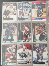 Sběratelské Hokejové karty Ultra Fleer 1995/96 - 15